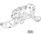 coloriage le voyage extraordinaire de samy rita